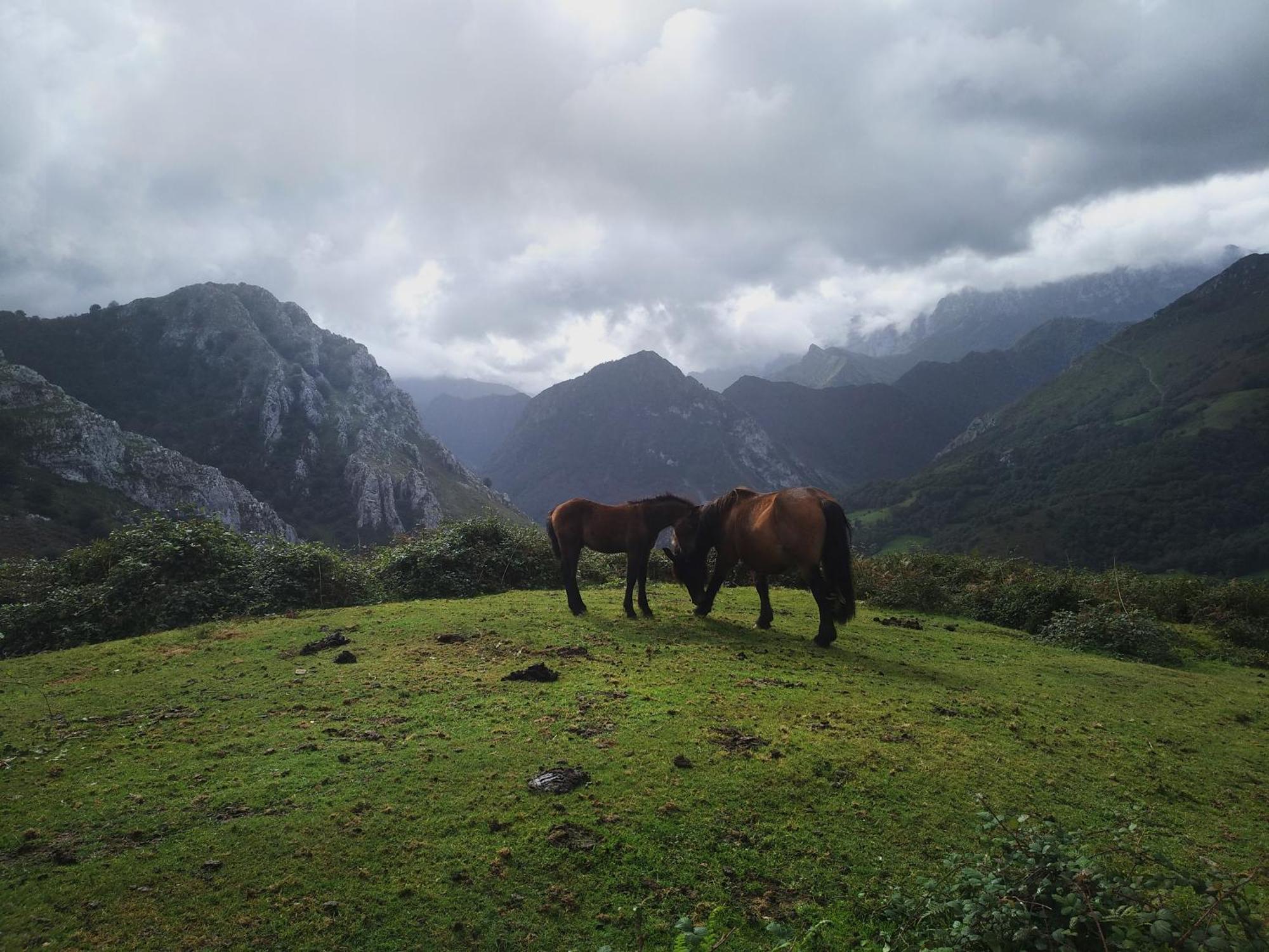 Belenos Alojamientos Turisticos Niembro Ngoại thất bức ảnh